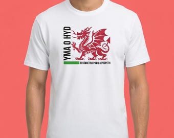 May include: White t-shirt featuring a red dragon design, a symbol of Wales. The design includes text in Welsh. The dragon is detailed with wings and a curled tail. The shirt is a classic crew neck style.