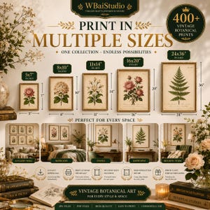 Peut inclure: Une publicit&eacute; num&eacute;rique pour une collection de 400+ impressions botaniques vintage, montrant cinq exemples encadr&eacute;s aux dimensions 13x18, 20x25, 28x36, 41x51 et 61x91 cm. Le graphique inclut du texte, des mises en situation et des ic&ocirc;nes.