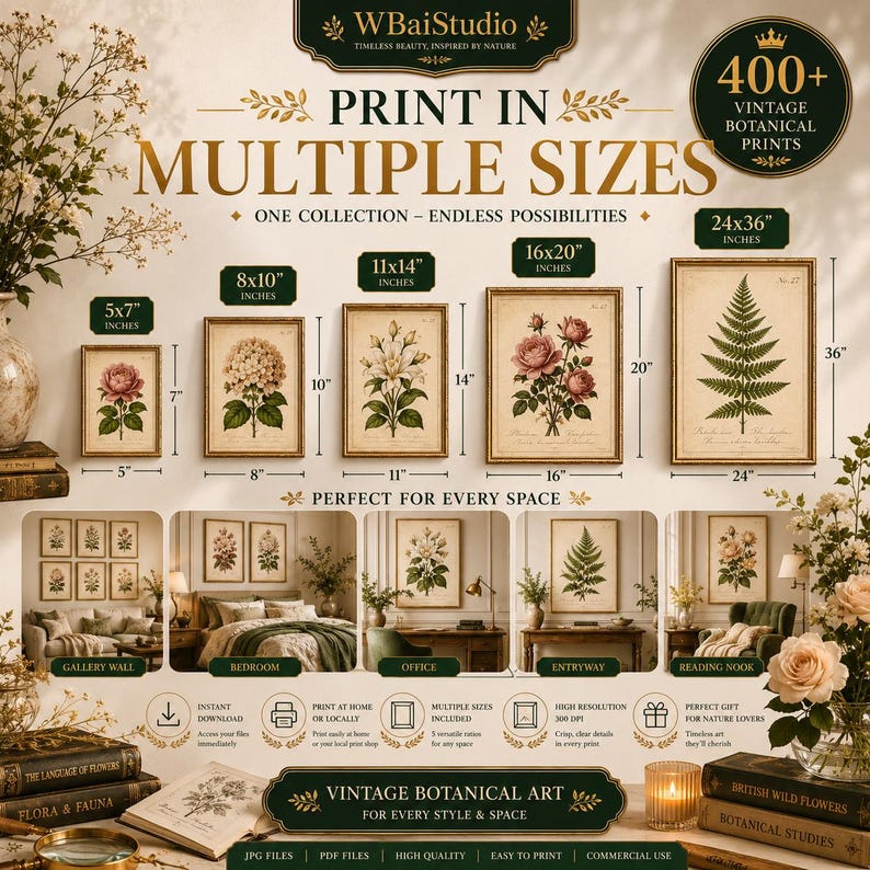 Peut inclure: Une publicit&eacute; num&eacute;rique pour une collection de 400+ impressions botaniques vintage, montrant cinq exemples encadr&eacute;s aux dimensions 13x18, 20x25, 28x36, 41x51 et 61x91 cm. Le graphique inclut du texte, des mises en situation et des ic&ocirc;nes.