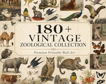 Vintage Zoological Illustrations Bundle | 180+ Animal Prints | Natural History Wall Art | Birds Butterflies Insects Mammals | Printable Art