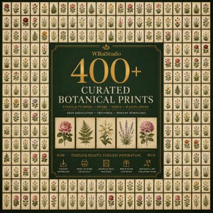 Peut inclure: Une collection num&eacute;rique de plus de 400 impressions botaniques s&eacute;lectionn&eacute;es comprenant des fleurs, herbes, foug&egrave;res et fleurs sauvages anciennes. Le panneau central vert fonc&eacute; affiche le texte WBaiStudio 400+ CURATED BOTANICAL PRINTS.