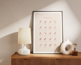 Poster oiseaux européens vintage, gravure naturaliste abricot, affiche ornithologie scientifique murale - Poster premium papier mat
