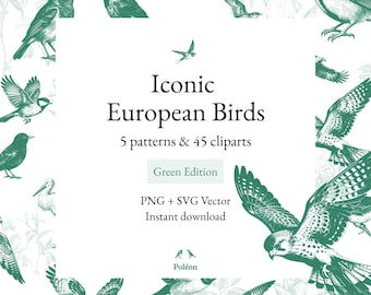 20 oiseaux iconiques européens - 45 Cliparts & 5 motifs sans couture style toile de Jouy / Chinoiserie - SVG, PNG 300dpi - Édition Verte