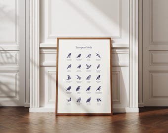Poster oiseaux européens vintage, gravure naturaliste bleu profond, affiche ornithologie scientifique minimaliste, art mural téléchargeable
