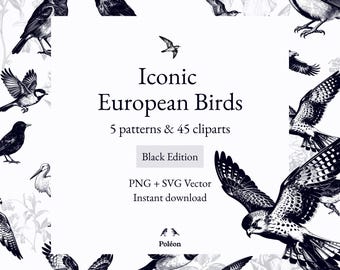 20 oiseaux iconiques européens - 45 Cliparts & 5 motifs sans couture style toile de Jouy / Chinoiserie - SVG, PNG 300dpi - Édition Noire