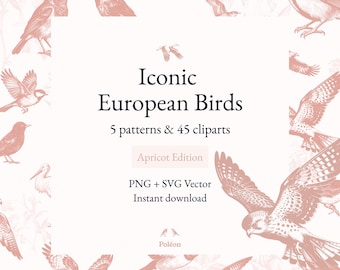 20 oiseaux iconiques européens - 45 Cliparts & 5 motifs sans couture style toile de Jouy / Chinoiserie - SVG, PNG 300dpi - Édition Abricot