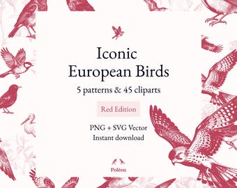 20 oiseaux iconiques européens - 45 Cliparts & 5 motifs sans couture style toile de Jouy / Chinoiserie - SVG, PNG 300dpi - Édition Rouge
