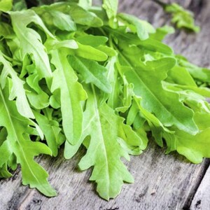 May include: A close-up shot of fresh arugula leaves, showcasing their vibrant green color and distinctive jagged edges. The leaves are arranged on a weathered wooden surface, highlighting the natural texture and freshness of the leafy greens.