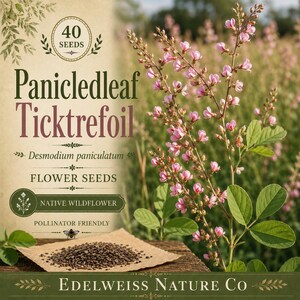 May include: Image of a packet of 40 Panicleleaf Ticktrefoil flower seeds. The image shows a close-up of the seeds on a piece of brown paper, with a sprig of pink flowers and green leaves in the background. The text reads "Native Wildflower" and "Pollinator Friendly".