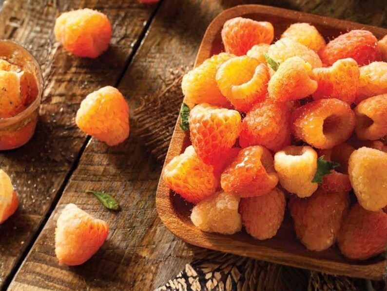 Raspberry Bush Color Fall Gold Raspberry Plant | Golden Yellow Berries, Everbearing Fruit ...