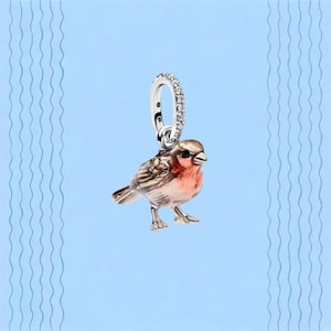 May include: A silver charm shaped like a small bird with a red breast and brown wings, featuring a circular bail encrusted with small clear stones. The bird has a detailed metallic finish and stands on two small feet, suspended from the stone-set loop.