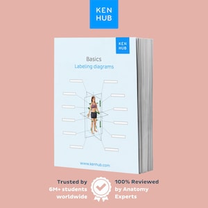 May include: A stack of books with a light blue cover featuring the text "Basics Labeling diagrams" and the Ken Hub logo. The cover includes a diagram of a person with labeling lines. The text "Trusted by 6M+ students worldwide" and "100% Reviewed by Anatomy Experts" are also visible.