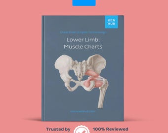 Grafiek onderste ledematen | Herkomst, tussenvoegsels, acties (pdf)