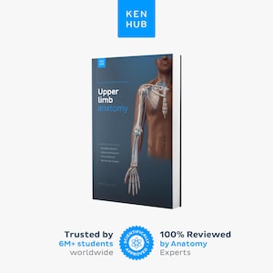 Może przedstawiać: Ciemnoniebieski podręcznik zatytułowany Upper limb anatomy wydawnictwa Kenhub. Okładka zawiera szczegółową ilustrację anatomiczną ludzkiego ramienia, barku i dłoni z widocznymi strukturami szkieletowymi i mięśniowymi. Tekst obejmuje shoulder and arm, elbow and forearm, wrist and hand, nerves and vessels.