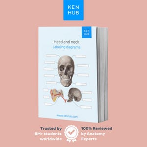 Könnte beinhalten: Ein Stapel Anatomie-Lehrbücher mit dem Titel "Head and neck Labeling diagrams" und dem Ken Hub-Logo. Das Cover zeigt eine detaillierte Illustration eines menschlichen Schädels und anderer anatomischer Diagramme. Der Text "Trusted by 6M+ students worldwide" ist ebenfalls sichtbar.
