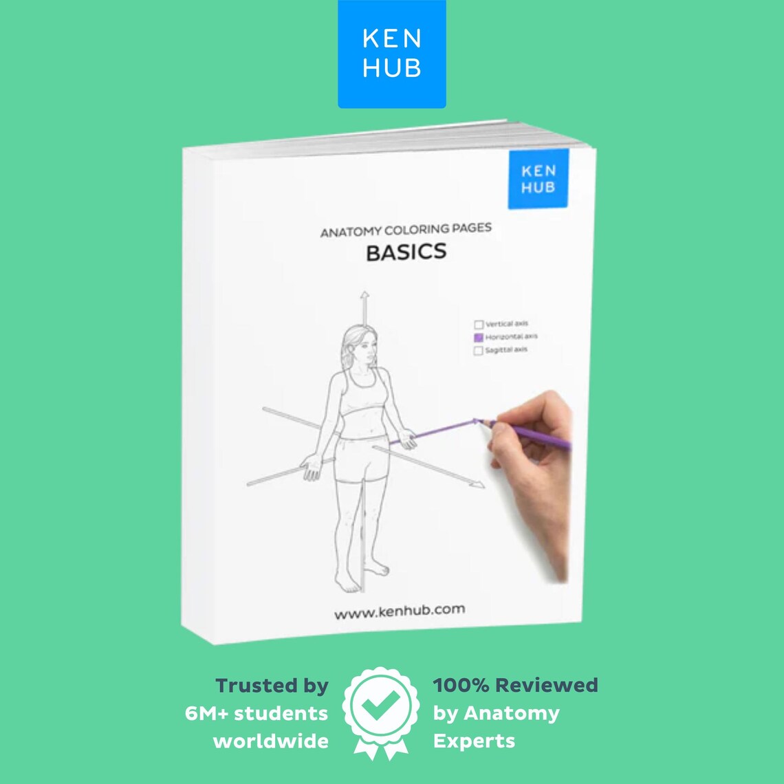 Body Systems Coloring Worksheets, 28 Free Pages | Intro to A&P PDF ...