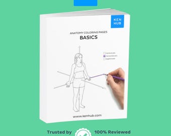 Schede di lavoro da colorare sui sistemi corporei, 28 pagine gratuite / Introduzione ad A&P PDF / Kenhub