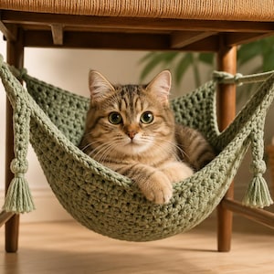 Può includere: Un gatto tigrato marrone riposa all'interno di un'amaca all'uncinetto color verde salvia. L'amaca è sospesa tra le quattro gambe in legno di una sedia e presenta nappe decorative su ogni angolo, realizzate con un motivo a maglia spessa.