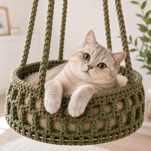 May include: A light gray cat with green eyes resting inside a round, olive green macrame hanging bed. The bed features a thick, braided rope structure with a grid pattern and is suspended by three matching braided ropes attached to a central point.