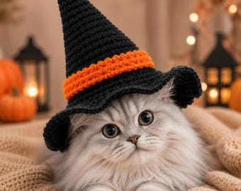 Crochet Cat Witch Hat Pattern, Halloween Pet Costume PDF, Easy Feline Accessory