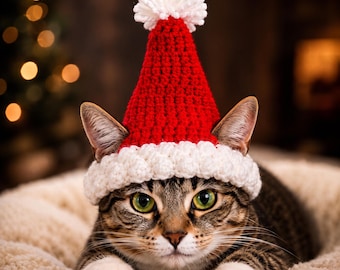 May include: A tabby cat with green eyes wearing a red and white crocheted hat. The hat features a pointed red crown with a textured white brim and a white pom-pom at the top. The cat is positioned in a forward-facing pose with its front paws visible.