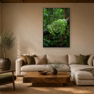 Green Tree Python Wall Art, Rainforest Wildlife Portrait, Framed Canvas
