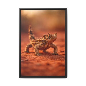 May include: Framed print featuring a close-up of a thorny devil lizard in its natural habitat. The lizard is brown and tan, with a spiky exterior, standing on red sand. The background is blurred, with warm tones of orange and yellow.