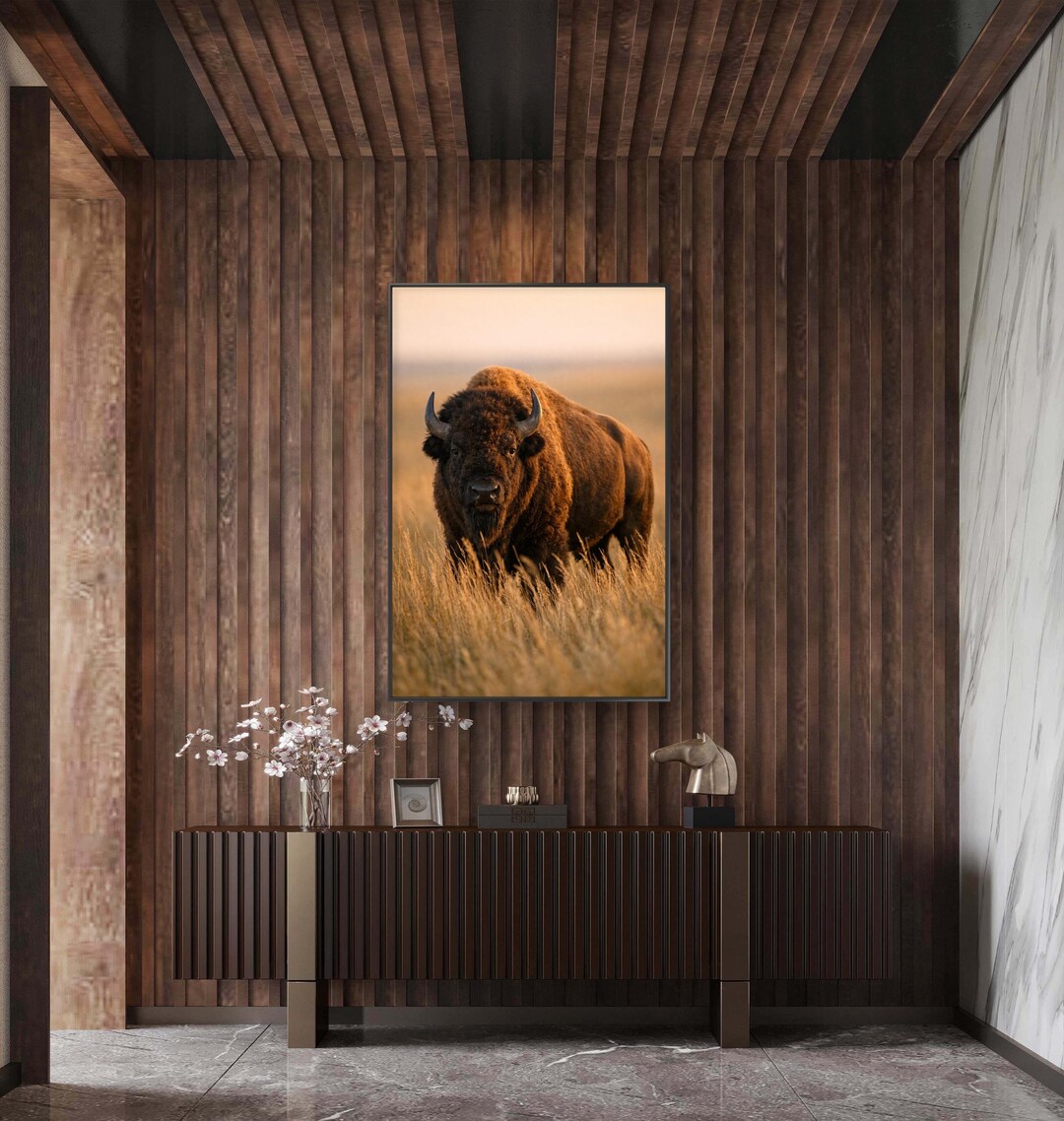 American Bison Wildlife Canvas Framed | Great Plains Prairie Wall Art ...
