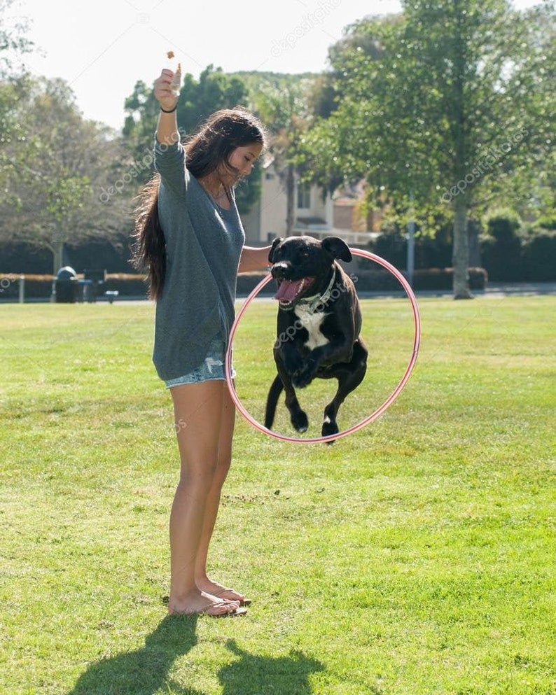 Dog Training Hula Hoop Pet Agility Hoop Travel Hoop Etsy