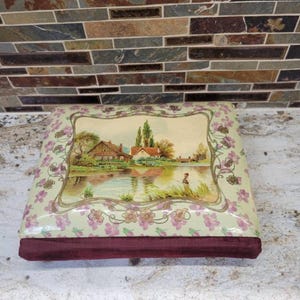Antique Photograph Album, Celluloid Victorian, Cottage Scene, Wire Metal Holder