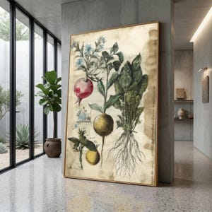 Pode incluir: Uma impressão botânica emoldurada com ilustrações de várias plantas, incluindo uma romã, vegetais de raiz e verduras. A obra de arte tem uma estética vintage com um fundo bege e uma moldura de madeira. A impressão é exibida em um ambiente interior moderno e minimalista.