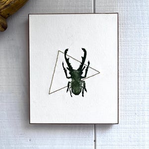 May include: Square artwork featuring a dark green beetle illustration set against a white background. A light brown triangle shape is behind the beetle. The artwork is framed with a thin brown border.