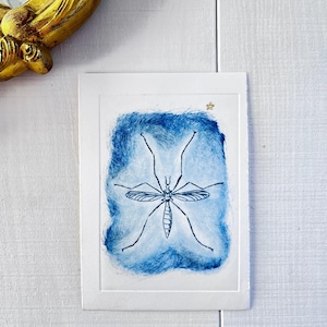 May include: A framed insect art print. The artwork features a detailed black line drawing of an insect against a textured blue background. The print is set in a white frame, with a gold star in the upper right corner.