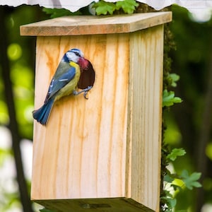 May include: A wooden birdhouse with a blue, yellow, and white bird perched near the entrance. The birdhouse is rectangular with a slanted roof. Text at the top reads "Ein Zuhause für Vögel bauen" and at the bottom "Der klassische Nistkasten DIY-Anleitung."