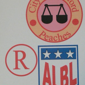 Peaches Inspired Patches Printed on Cotton