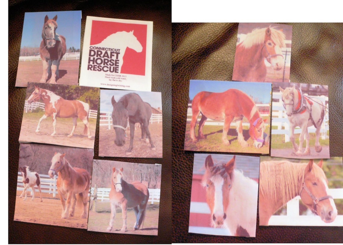 Photo Quilt Squares Your Images on Fabric Etsy