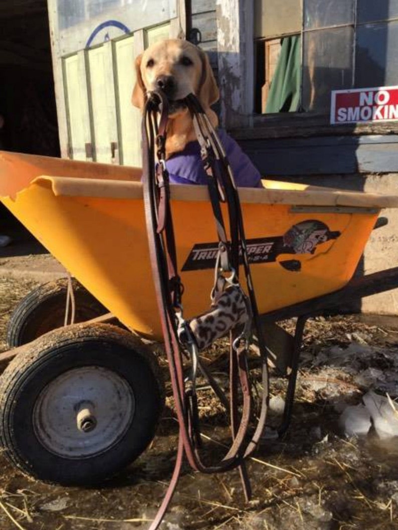 Bit Warmer Sewing Pattern Also Hand and Held Heat and Ice Pack Etsy