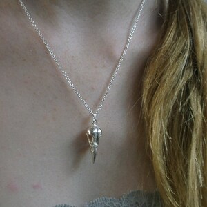 May include: A silver chain necklace with a bird skull pendant. The pendant is detailed and has a pointed beak.