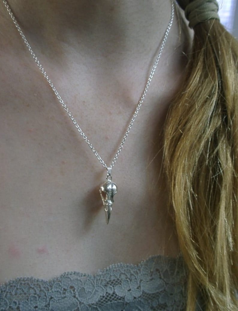 May include: A silver chain necklace with a bird skull pendant. The pendant is detailed and has a pointed beak.