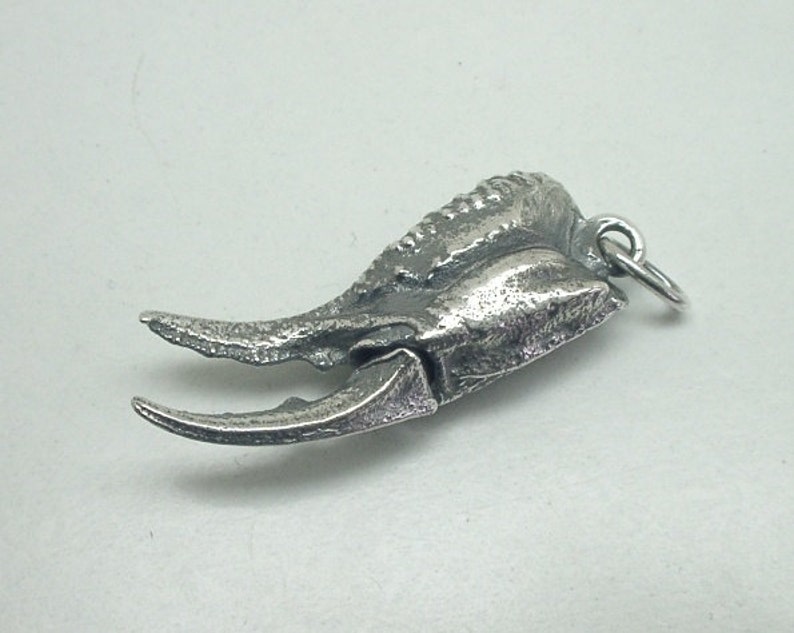 Scorpion Claw Pendant Sterling Silver image 4
