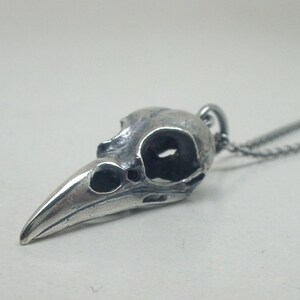 May include: A silver bird skull pendant on a silver chain necklace. The pendant is detailed and realistic, with a hollow eye socket and a long, pointed beak.