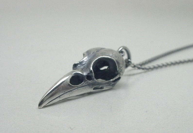 May include: A silver bird skull pendant on a silver chain necklace. The pendant is detailed and realistic, with a hollow eye socket and a long, pointed beak.