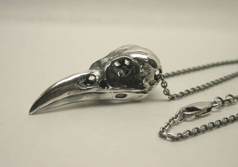 May include: A silver bird skull pendant necklace with a delicate silver chain. The skull is detailed and realistic, with visible eye sockets and beak.