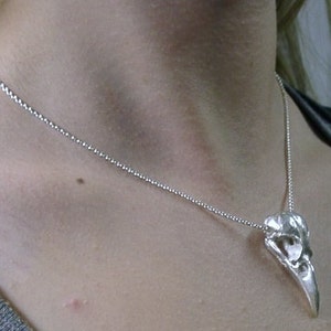 May include: A silver chain necklace with a silver bird skull pendant.