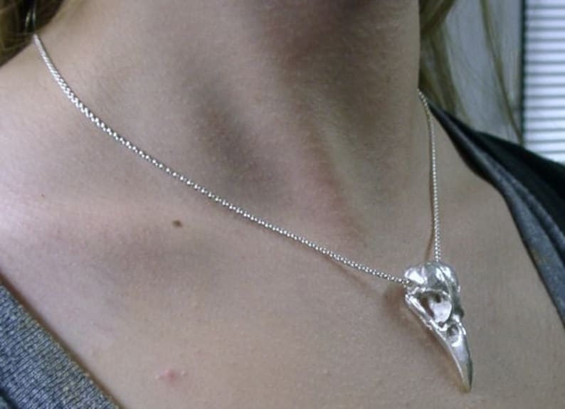 May include: A silver chain necklace with a silver bird skull pendant.