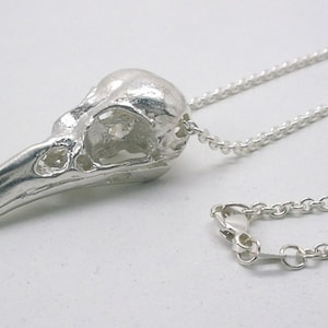 May include: A silver bird skull pendant necklace with a delicate chain. The skull is detailed and intricate, with a hollowed-out interior.