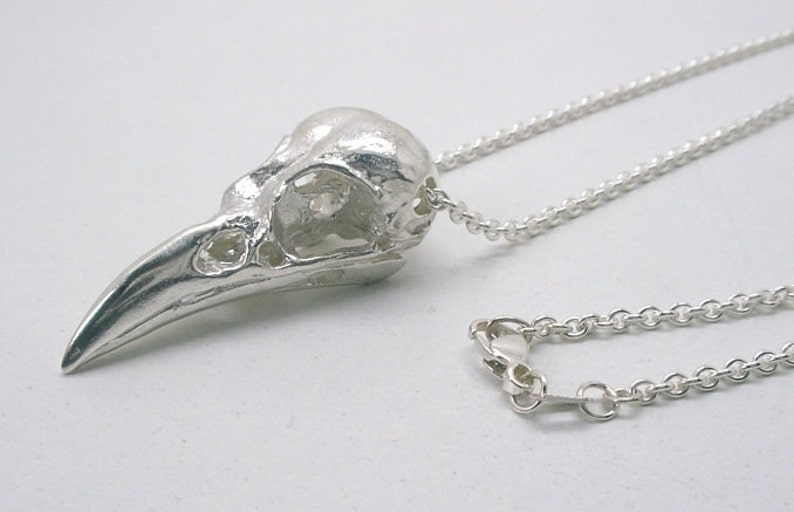 Raven Skull Necklace, Sterling Silver image 3