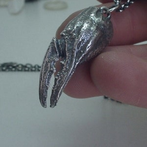 Scorpion Claw Pendant Sterling Silver image 1