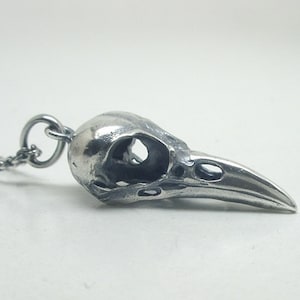 May include: A silver bird skull pendant necklace. The pendant is detailed and realistic, with a hollow eye socket and a long, pointed beak.