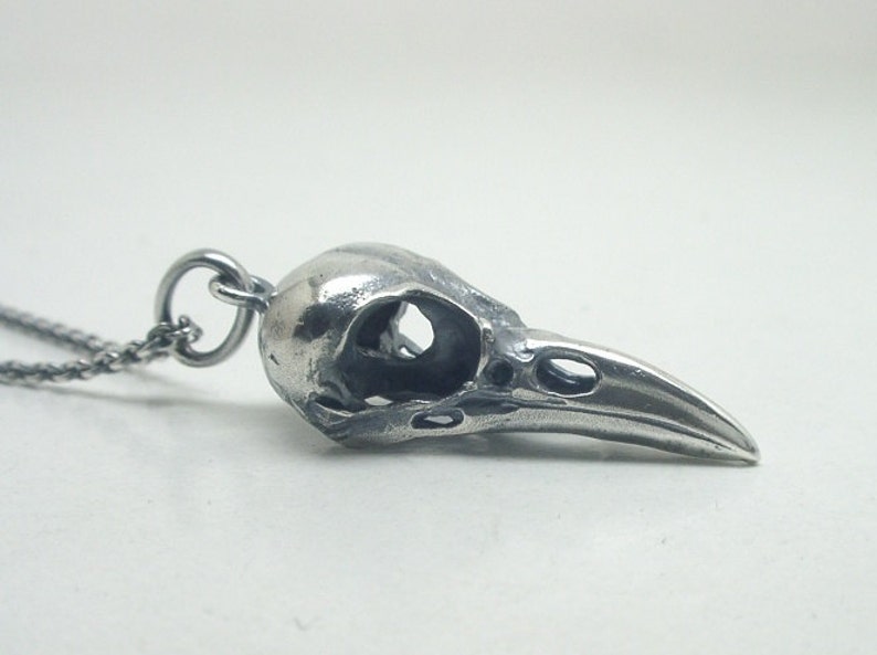 May include: A silver bird skull pendant necklace. The pendant is detailed and realistic, with a hollow eye socket and a long, pointed beak.